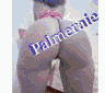 78 348 56 70 ☎️☎️ Dama ame taate mangui sicap foire :  Kaye dioutalema katema bama danou grosse fésse